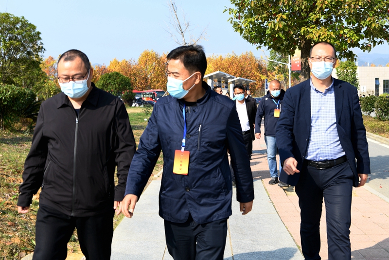 1.张正 (7)_副本.jpg 1.张正 (7)_副本.jpg